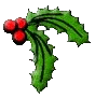 File:Holly1.gif